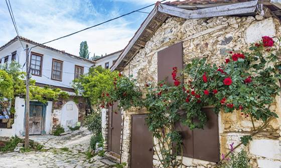 prohlídka sirince vesnice a efesu z kusadasi přístavu